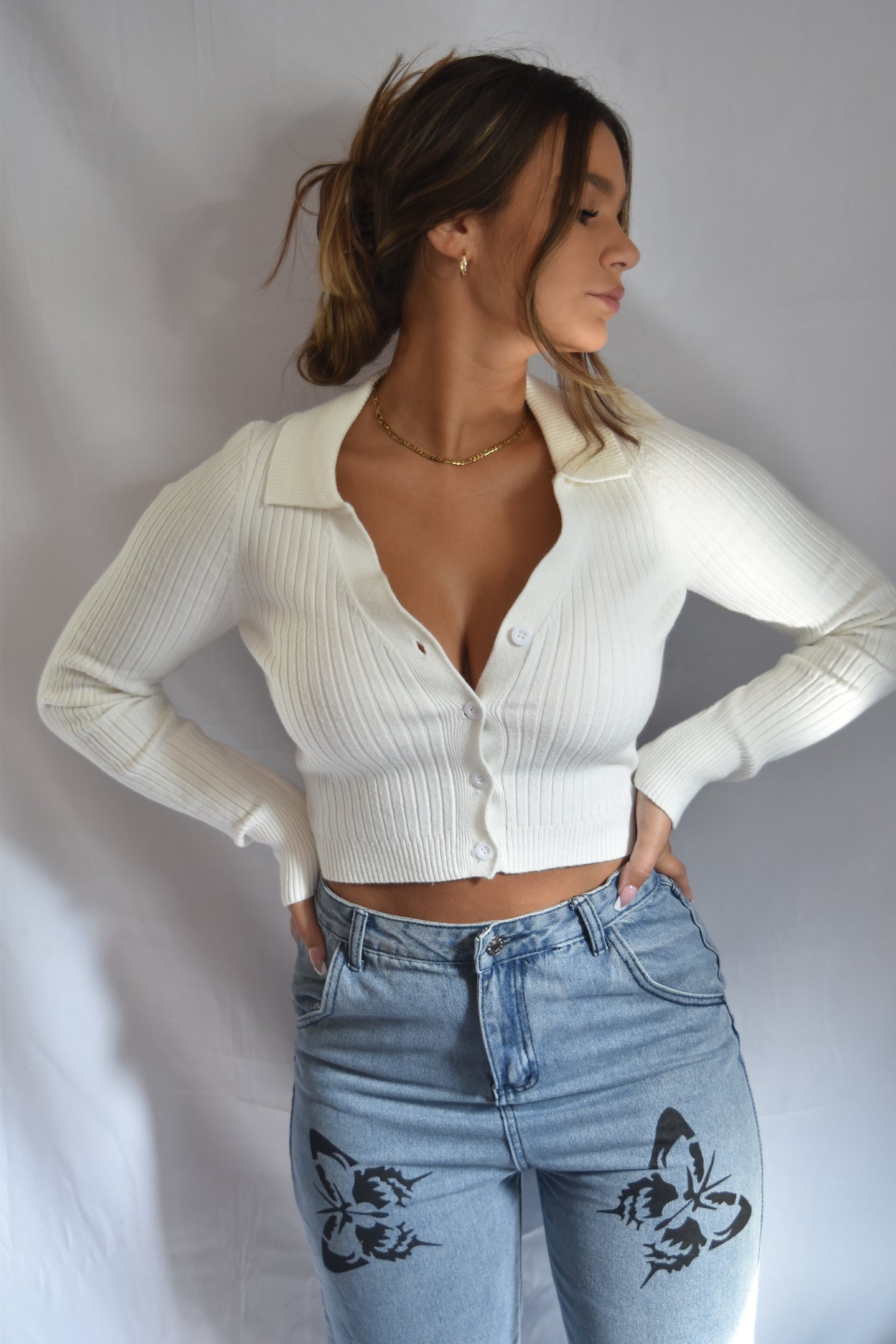 Angel Knit Collared Sweater Top
